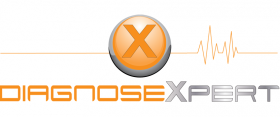 Groupauto - Diagnose expert_249